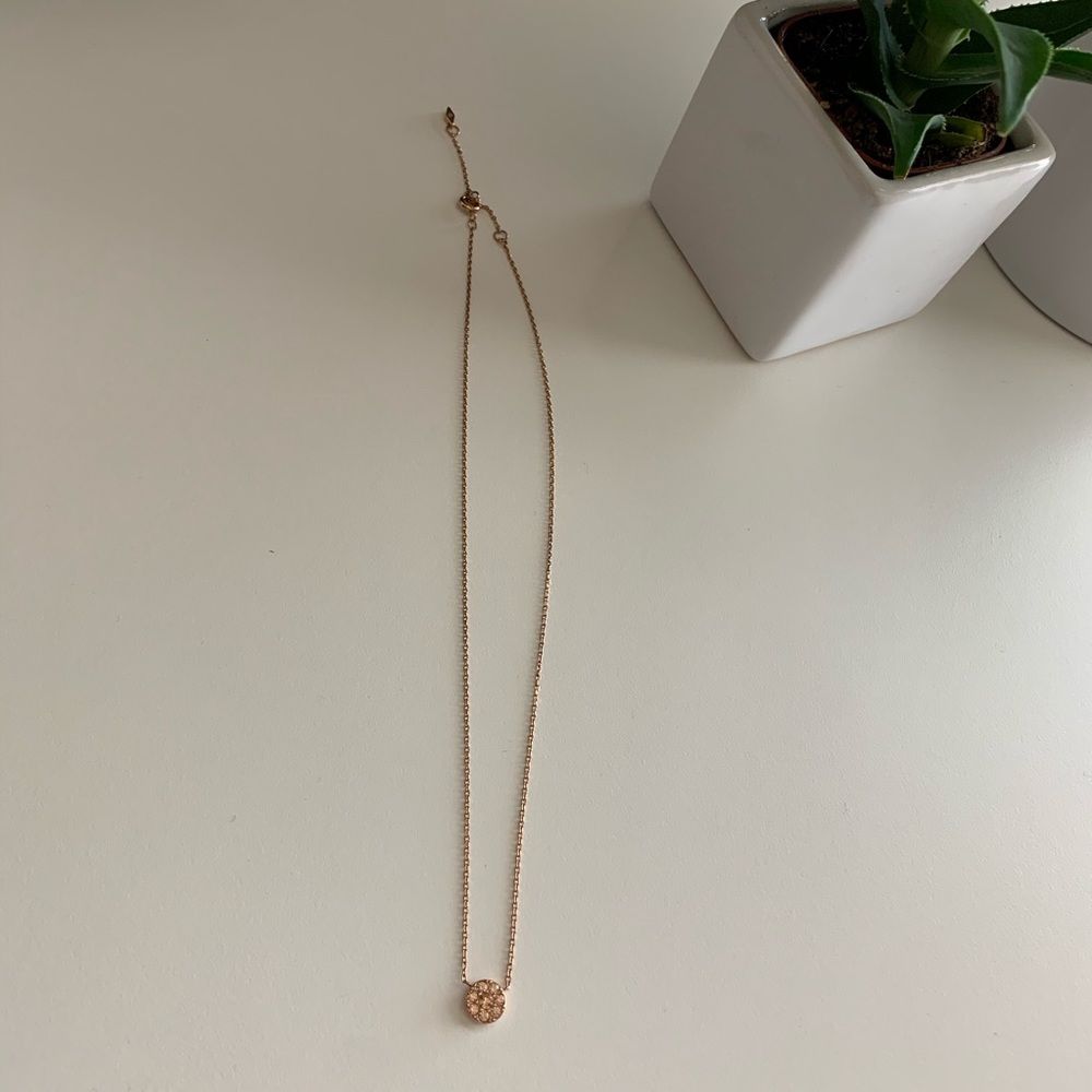 Fossil Necklace